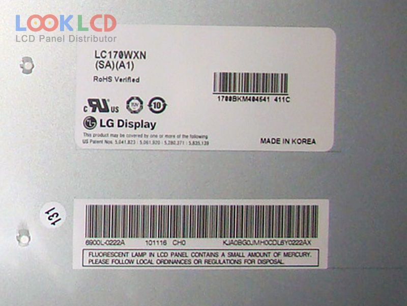 LC170WXN-SAA1